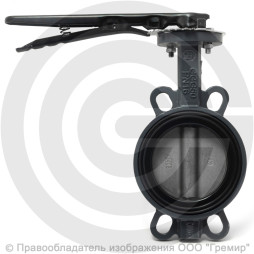 Затвор дисковый поворотный межфланцевый Ду-250 Ру-16 NBR с нержавеющим диском Benarmo