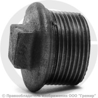 Заглушка чугунная НР (НАР) Ду 50 (2") Заглушка чугунная НР (НАР) Ду 50 (2")