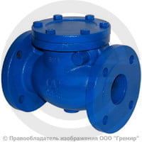 Клапан обратный поворотный чугунный фланцевый Ду-125 RD30 АДЛ Гранлок Клапан обратный поворотный чугунный фланцевый Ду-125 RD30 АДЛ Гранлок