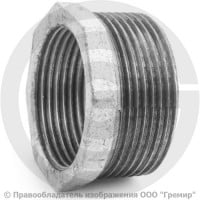 Футорка чугунная оцинкованная НР-ВР (НАР-ВН) Ду 50-40 (2"-1 1/2") Fittex PLUS