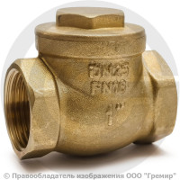 Клапан обратный поворотный латунный Ду-40 (1 1/2") Ру-16 ВР (ВН) (Т<110°С) латунь N6 Giacomini Клапан обратный поворотный латунный Ду-40 (1 1/2") Ру-16 ВР (ВН) (Т<110°С) латунь N6 Giacomini