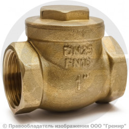 Клапан обратный поворотный латунный Ду-65 (2 1/2") Ру-16 ВР (ВН) (Т<110°С) латунь N6 Giacomini