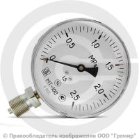 Манометр радиальный диаметр 100мм 0-25 кгс/см2 (0-2,5 МПа) G1/2" МТ-100 Багория Манометр радиальный диаметр 100мм 0-25 кгс/см2 (0-2,5 МПа) G1/2" МТ-100 Багория