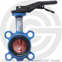 Затвор дисковый поворотный межфланцевый Ду-100 Ру-16 с нержавеющим диском Giacomini R59W