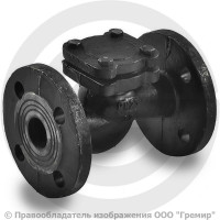Клапан обратный подъемный чугунный фланцевый Ду-32 Ру-25 (Т<200°С) 16кч9нж Клапан обратный подъемный чугунный фланцевый Ду-32 Ру-25 (Т<200°С) 16кч9нж