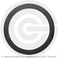 Прокладка фланцевая резиновая ТМКЩ Ду-250 Ру 10-16 исп. А ГОСТ 15180-86