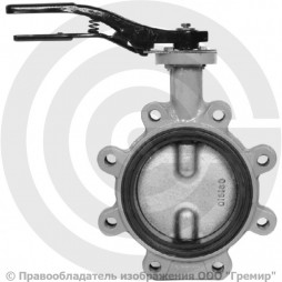 Затвор дисковый поворотный межфланцевый Ду-65 Ру-16 с чугунным диском Giacomini R59FL