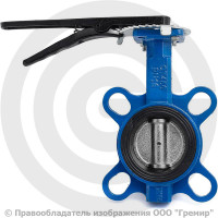 Затвор дисковый поворотный межфланцевый Ду-65 Ру-16 EPDM с чугунным диском Китай Затвор дисковый поворотный межфланцевый Ду-65 Ру-16 EPDM с чугунным диском Китай