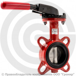 Затвор дисковый поворотный межфланцевый Ду-50 Ру-16 EPDM с чугунным диском АДЛ Гранвэл ЗПВЛ-FLN(W)-MN-Е